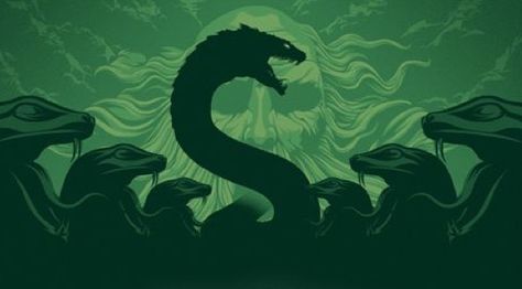 Harry Potter Posters, Harry Potter Iphone, The Chamber Of Secrets, Harry Potter Poster, Slytherin Pride, Harry Potter And The Chamber Of Secrets, Slytherin Harry Potter, Harry Potter Artwork, Images Harry Potter