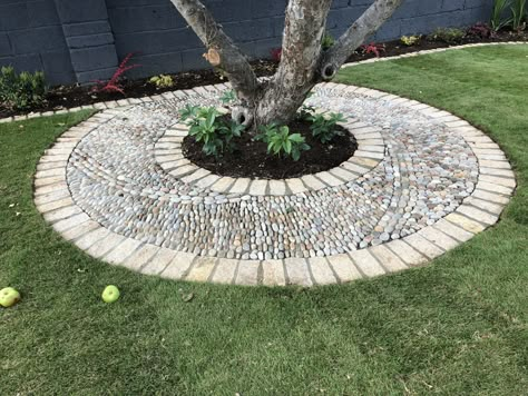 A lovely old apple tree was enhanced by encircling it in a radiating pattern of scottish cobbles bordered on each side by granite cobbles Paving Around Tree, Radiating Pattern, Landscaping Around Trees, Backyard Vegetable Gardens, Family Garden, Sustainable Garden, Vegetable Garden Design, City Garden, Front Yard Landscaping Design