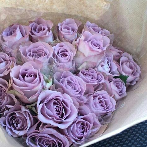 Love lilla rose Lilac Roses Aesthetic, Lilac Roses Bouquet, Starry Wedding, Luxury Flower Bouquets, Violet Aesthetic, Lilla Rose, Lilac Roses, Flower Therapy, Lavender Roses