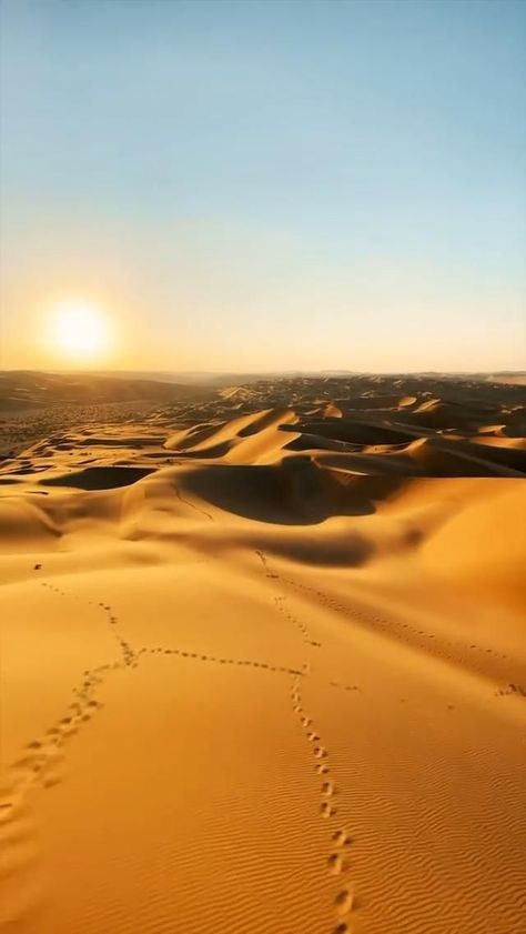 A romantic sunset in the sand dunes of Abu Dhabi [Video] | Beautiful photos of nature, Beautiful nature scenes, Nature pictures Deserts Video, Desert Videos, Desert Video, Video Gospel, Beach Mountain, Dubai Video, World Video, Deserts Of The World, Best Travel Destinations