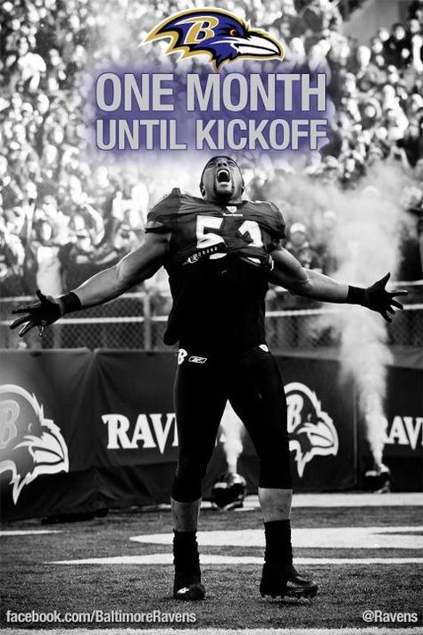 Ravens nation BABY Ray Lewis Wallpapers, Lewis Wallpaper, Ray Lewis, Nfl Players, Baltimore Ravens, Ravens, Baltimore, Nfl, Football