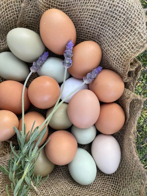 Liam’s Coop - Farm Fresh Eggs $6/dozen or $8/18 pack Local... | Facebook Farm Fresh Eggs Aesthetic, Fresh Farm Eggs, Egg Photos, Hobby Farm Ideas, Egg Farm, Family Vision Board, Family Vision, Farm Eggs, Farm Lifestyle