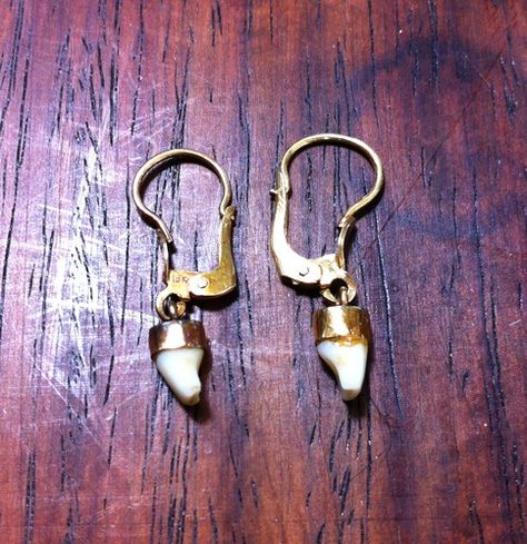 antique victorian milk tooth teeth earrings jewelry Human Tooth Jewelry, Milk Tooth Jewelry, Jewelry Made Of Teeth, Animal Teeth Jewelry, Animal Teeth Necklace, Cocoa Puffs, Teeth Jewelry, Baby Teeth, Tooth Fairy