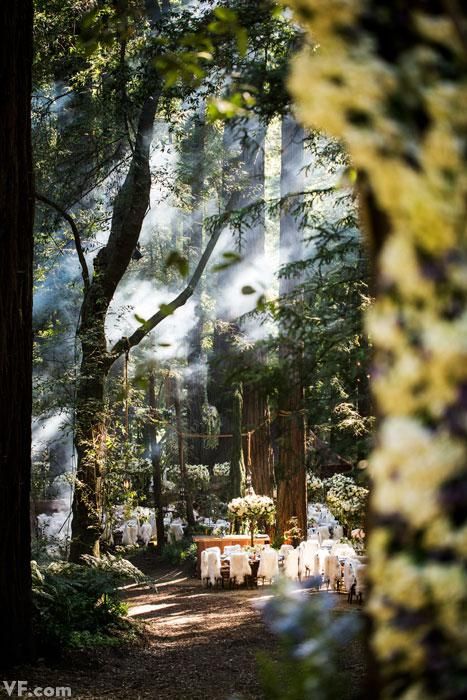 Sean Parker's wedding. Sean Parker Wedding, Redwood Forest Wedding, Wedding Slideshow, How To Dress For A Wedding, Big Sur Wedding, Extravagant Wedding, Enchanted Wedding, Forest Theme, Woodland Wedding