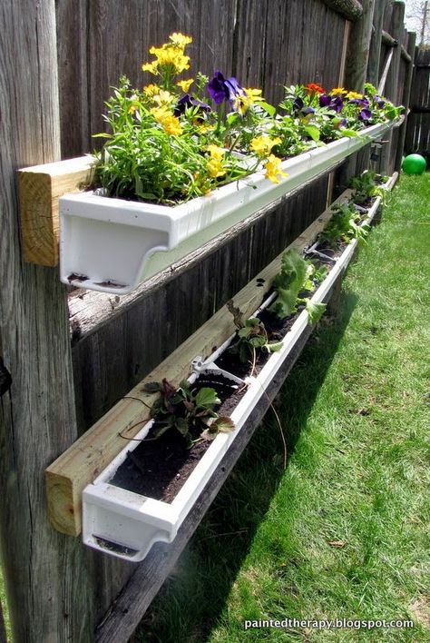 Painted Therapy: DIY Gutter Garden Diy Gutters, Small Flower Gardens, Vertical Vegetable Gardens, Start A Garden, Container Herb Garden, Gutter Garden, Garden Frogs, Vertical Vegetable Garden, Garden Basket