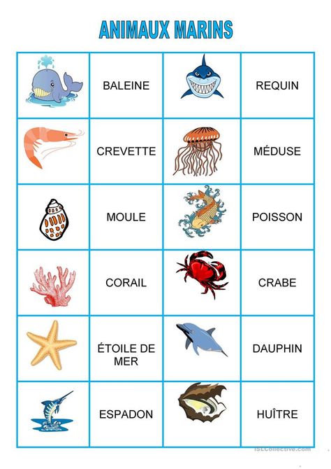 Jeux - Animaux marins fiche d'exercices - Fiches pédagogiques gratuites FLE French Basics, French Flashcards, French Teaching Resources, French Education, French Class, Scenery Pictures, French Language Learning, English Lessons For Kids, French Lessons