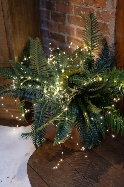 Bring a little sparkle into any interior with these delicate micro lights, featured here with our faux fern to give an alternative look. Greenery With Lights, Decorating With Faux Greenery, Fairy Lights In Plants, Wedding Decor With Ferns, Fern Decorations, Fern Party Decor, Ferns For Wedding Decor, Fern Wedding Decorations, Fairy Lights Wedding Decor