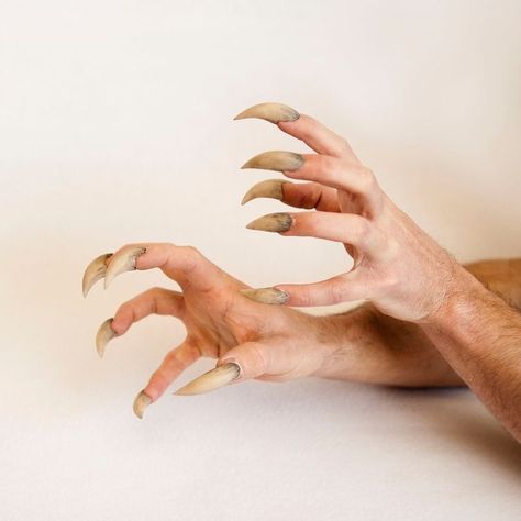 Werewolf Ears, Werewolf Makeup, Aesthetic Hands, Teen Wolf Werewolf, Werewolf Costume, Winged People, Werewolf Aesthetic, Red Ridding Hood, Gel Pedicure