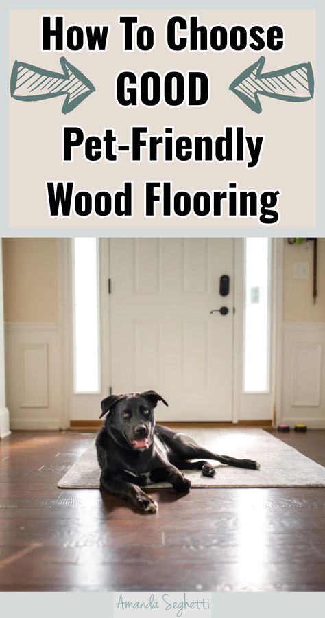 How To Choose GOOD Pet-Friendly Wood Flooring Best Wood Floors For Dogs, Best Flooring For Dogs, Best Floors For Dogs, Dog Friendly Flooring, Sustainable Home Design, Click Lock Flooring, Best Wood Flooring, Pet Friendly Flooring, Wood Floor Colors