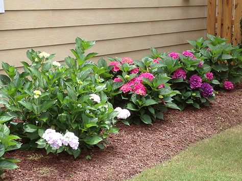 9 Super Creative Ways To Hide Your House Foundation Front Yard Flower Beds, Deck Landscaping, Landscaping Around House, Bed Idea, Mulch Landscaping, Triangle Area, Side Yard Landscaping, Commercial Landscaping, Front Yard Landscape