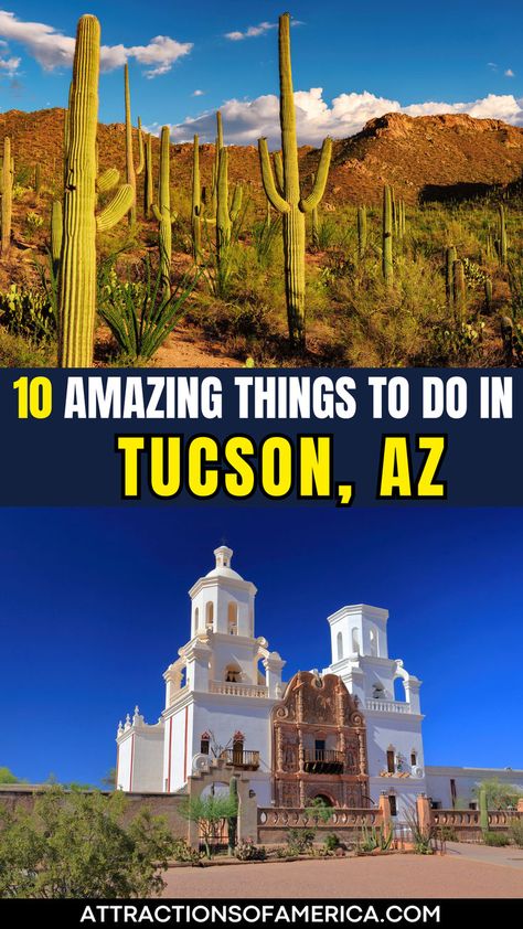 Image of Mission San Xavier del Bac and Saguaro National Park with text overlay reading 10 amazing things to do in Tucson, AZ. Sonora Desert, Saguaro National Park, Arizona Travel, Tucson Arizona, Now And Then, Tourist Attraction, Tucson, Reptiles, Grand Canyon