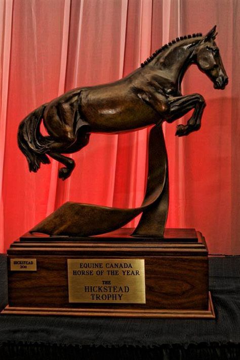 Hickstead Trophy Horse Trophy, Canadian Horse, Famous Horses, Side Saddle, English Horse, Horse Dressage, Horse Boarding, All The Pretty Horses, Equestrian Life