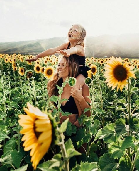 Sunflower Shoot, Sunflower Mini Session, Sunflower Field Photography, Sunflower Field Pictures, Field Pictures, Sunflower Family, Sunflower Patch, Sunflower Photography, Baby Fotografie