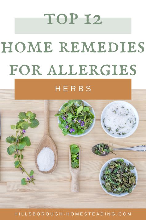 Homemade Allergy Remedies, Homemade Allergy Medicine, Herbs That Help Sinuses, Allergies Remedies, Natural Allergy Remedies, Teas For Allergies, Natural Remedy For Allergies, Allergy Tincture, Tea For Allergies