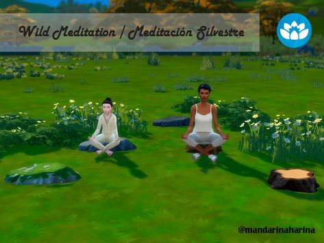 The Sims Resource - Wild Meditation Stools Meditation Stool, Sims 4 Challenges, Squat Rack, Sims Community, Wooden Animals, Electronic Art, Maxis Match, The Sims Resource, Sims Resource