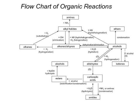 Flow chart of organic reaction by Sir Chemical Asad How To Study Organic Chemistry, Sn1 And Sn2 Reactions, Concept Map Design, Functional Groups Organic Chemistry, Chemistry Reactions, Skyler White, Chem Notes, Chemistry Drawing, Organic Chemistry Notes