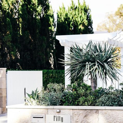 Luxitecure on Instagram: “The entry arbor and front gate at our Sylvania Waters 02 project really sets the tone for what is beyond. . . . . . #luxitecture…” Entry Arbor, The Hamptons Houses, Hampton Style House, Hamptons Style House, Hamptons Garden, Hamptons Coastal, Custom Gates, Front Fence, Water House