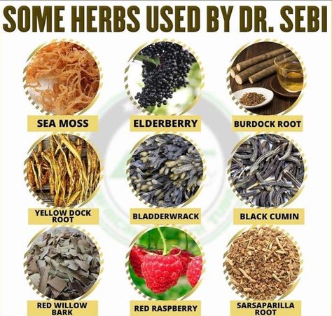 Dr Sebi Herbs, Grunge Diy, Dr Sebi Alkaline Food, African Herbs, Herbal Tea Benefits, Medicinal Herbs Garden, Medical Herbs, Magia Das Ervas, Food Health Benefits