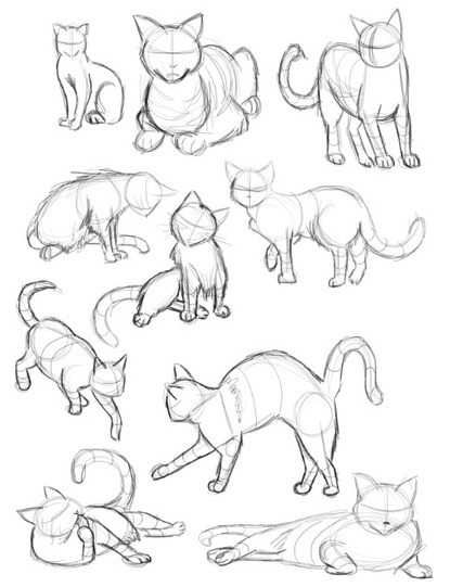 Drawing References Dump - 2 - Imgur Ako Kresliť, Cat Drawing Tutorial, Cats Art Drawing, Couple Drawing, Drawing Eyes, Seni Dan Kraf, Cat Sketch, Drawing Faces, Cat Pose