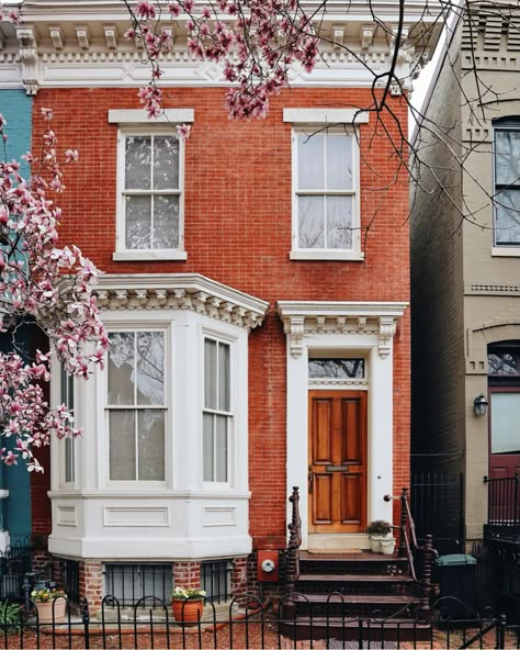 Washington Dc Townhouse, Dc Houses, Houses In Washington, Dc Rowhouse, Washington Dc Houses, Wood Wall Storage, Dc Apartment, Washington House, Shelves For Bedroom