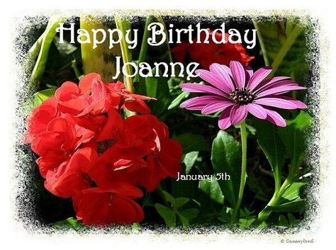 Happy Birthday Joanne! (jcrowley99) Happy Birthday Joanne, Happy 74th Birthday, Blessed Birthday Wishes, Blessed Birthday, 74th Birthday, Birthday Name, Meaningful Quotes, Birthday Wishes, Google Images