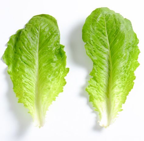 Pieces of lettuce - leaves Lettuce Leaves, Romaine Lettuce, Yellow Leaves, All About Plants, What To Make, Lettuce, Plant Leaves, Good Food, Herbs