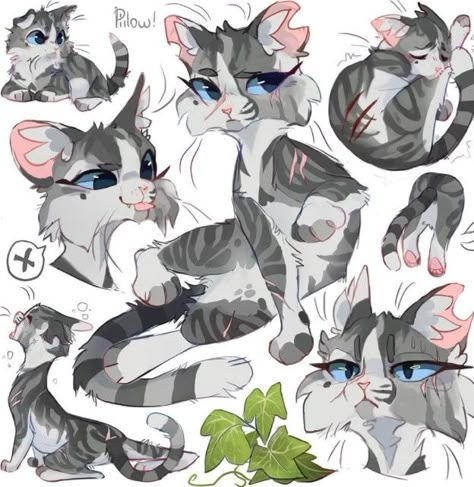 Gray Pillow Warrior Cats, Graypillow Warriors, Graypillow Art, Warrior Cats Comics, Warrior Cats Books, Cats Art Drawing, Gray Pillow, Warrior Cats Fan Art, Warrior Cat Drawings