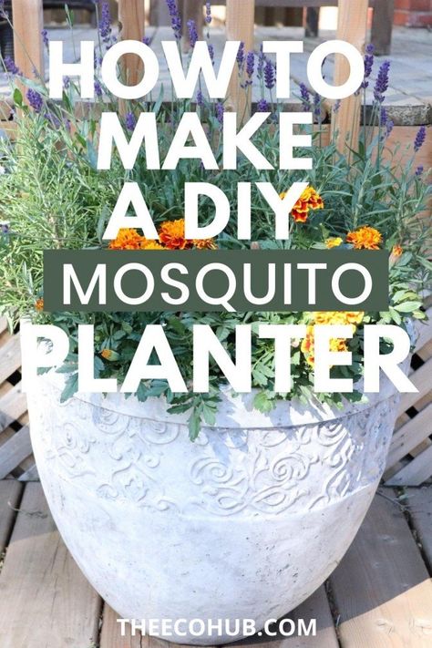 How To Make A DIY Mosquito Repellent Planter - The Eco Hub Natural Bug Spray Recipe, Diy Mosquito Repellent, Plants That Repel Bugs, Bug Spray Recipe, Mosquito Plants, Garden Escape, Natural Bug Spray, Eco Garden, Mosquito Repelling Plants