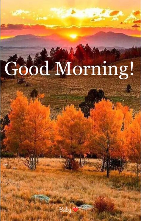 Good Morning Sunday Fall Images, Good Morning Fall Images, Animated Good Morning, Good Morning Fall, Saturday Good Morning, Friday Good Morning, Gif Good Morning, Good Morning Nature Images, Gif Cute