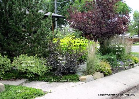 Calgary Garden Coach -   garden design for sustainable and kid-friendly gardens in zone 3 Alberta Yard Landscaping, Alberta Landscaping Ideas, Garden Education, Low Maintenance Landscaping Front Yard, Front Garden Design, Front Yard Garden Design, Modern Garden Design, Low Maintenance Landscaping, Low Maintenance Garden