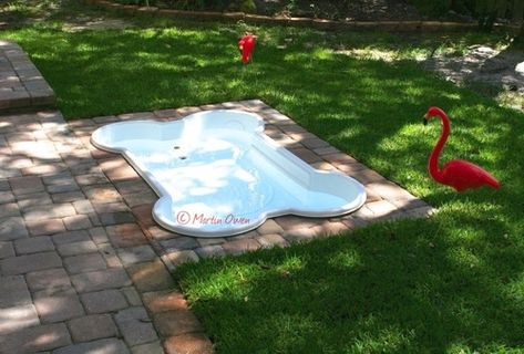 Create a "built in" dog pool just in time for summer | Offbeat Home Inground Dog Pool, Dog Bone Pool, Dog Pool, Pet Resort, Dog Area, Dog Bath, Dog Rooms, Dog Boarding, Dog Kennel