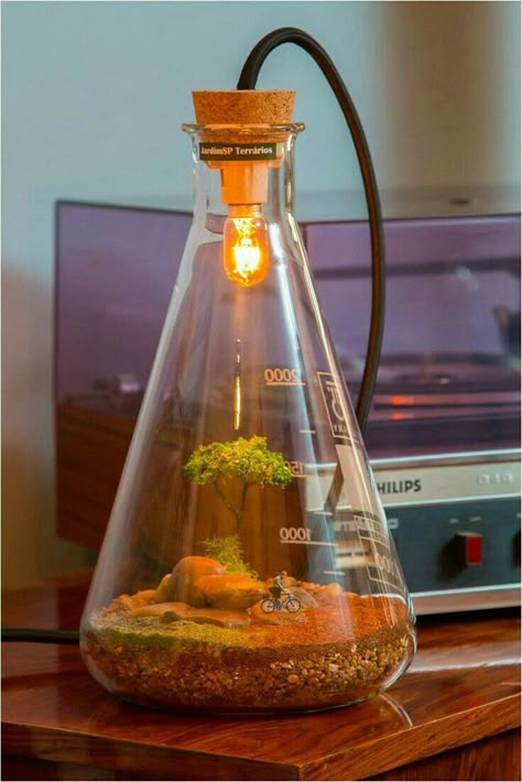 Diy Luminaire, Erlenmeyer Flask, Mini Terrarium, Diy Lampe, Terrarium Diy, Garden Terrarium, Terrarium Plants, Terraria, Miniature Garden