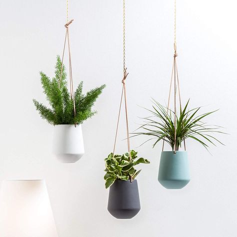 Amazon.com: Torre & Tagus 902921B Ashbury Planter, Teal: Gateway Plant Hanging, Hanging Design, Hanger Design, Plant Hangers, Indoor Activities, Hanging Planters, Macrame Plant Hanger, Plant Hanger, Ebern Designs