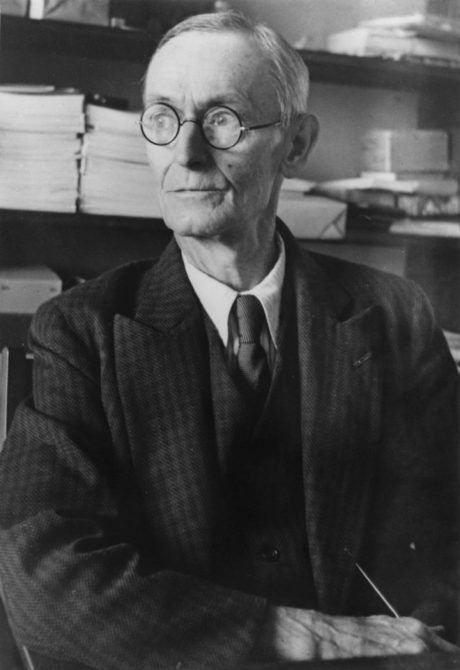 Herman Hesse, Hermann Hesse, Biography Books, Writers And Poets, Book Writer, The Orator, Red Books, Literature Art, 인물 사진