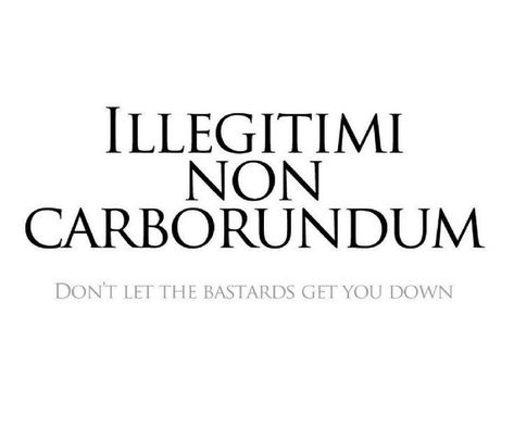 Don’t let the bastards get you down Latin Phrase Tattoos, Latin Quote Tattoos, Latin Tattoo, Abstract Tattoo Ideas, Abstract Tattoos, Phrase Tattoos, Latin Quotes, Unique Words Definitions, Latin Phrases