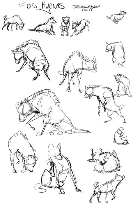 Hyena Sketches - Free poses by TheShadowedGrim Free Poses, Animals Sketches, Real Wolf, Drawings Of Animals, How To Draw Animals, Sketch Free, Draw Animals, Animal Study, Canine Art