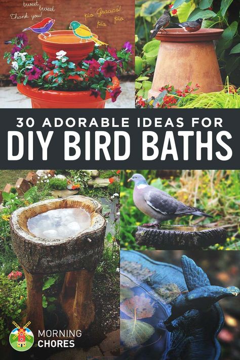 Do you want to attract birds to your garden? Why not provide them a space to bath? Here are 30 DIY bird bath ideas that will make a fun family project. Diy Bird Bath Ideas, Bird Bath Ideas, Diy Bird Bath, Bar Garden, Bird House Kits, Bird Bath Garden, Bench Diy, Diy Bird Feeder, Meteor Garden 2018