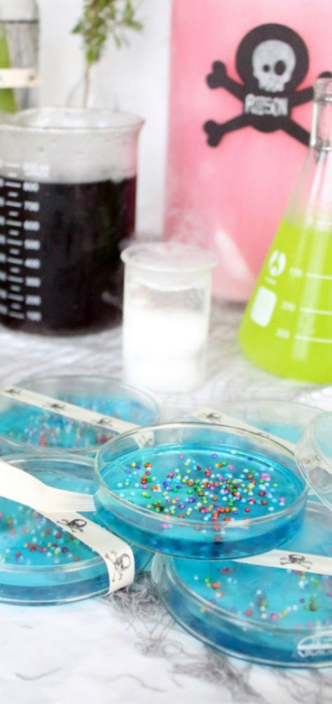 Petri Dish Science Fair Projects, Halloween Petri Dish, Jello Petri Dish, Bacteria Petri Dish, Science Party Favors, Mad Scientist Halloween, Scientist Birthday Party, Mad Scientist Birthday, Scientist Birthday