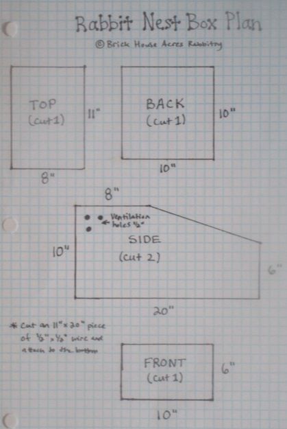 Nest Box Info - Brick House Acres Rabbitry Diy Rabbit Nest Box Ideas, Diy Nesting Box For Rabbits, Rabbit Barn Ideas, Rabbitry Setup Ideas, Digging Box For Rabbits, Rabbit Nesting Box, Rabbit House Size, Multiple Rabbit Housing, Rabbit Playground