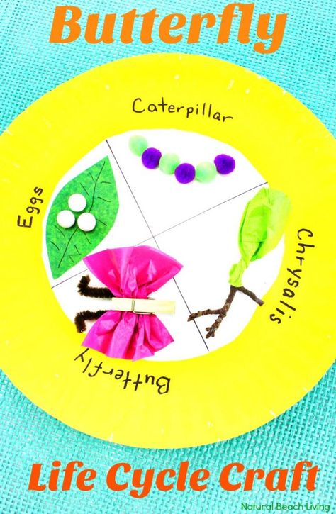 Easy Butterfly Life Cycle Craft, Spring Paper Plate Craft, life cycle of a butterfly activities, butterfly life cycle craft for kindergarten, life cycle of a butterfly project ideas, butterfly life cycle science project, butterfly life cycle preschool lesson plan, Butterfly life cycle project, Butterfly Crafts, Spring Preschool Theme, Science Activity, Preschool Science, Kindergarten Science #Science #crafts #springcrafts #butterflyactivities #butterflycrafts Butterfly Life Cycle Project, Butterfly Life Cycle Preschool, Butterfly Cycle, Life Cycles Preschool, Butterfly Life Cycle Activity, Butterfly Activities, Butterfly Life Cycle Craft, Butterfly Lessons, Science Kindergarten