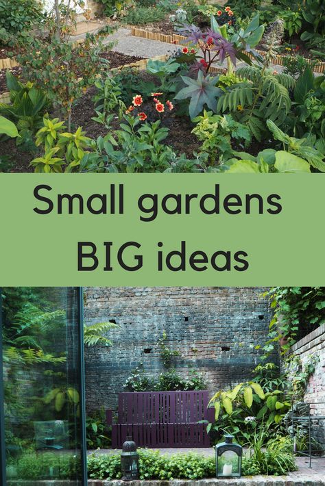 Why a successful small garden needs a big idea - The Middle-Sized Garden | Gardening Blog Small Garden With Grass Ideas, Garden Height Ideas, Small Tarrice Garden Ideas, Pretty Small Gardens, Unique Small Garden Ideas, Trending Garden Ideas, Small Garden Designs Layout, Small Sunny Garden Ideas, Small Cottage Garden Ideas On A Budget