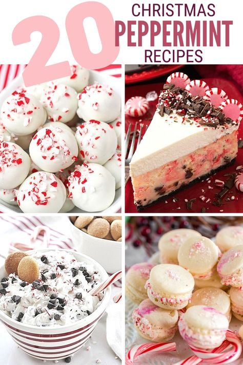 Peppermint is the cool minty flavor of winter! 20 delicious Christmas Peppermint Recipes that will get you in the holiday mood.#thecraftyblogstalker#peppermintrecipes#christmasrecipes#dessertrecipes Christmas Peppermint Recipes, Peppermint Desserts Christmas, Peppermint Recipes Desserts, Peppermint Dessert, Peppermint Treats, Peppermint Recipes, Peppermint Cake, Christmas Peppermint, Peppermint Brownies