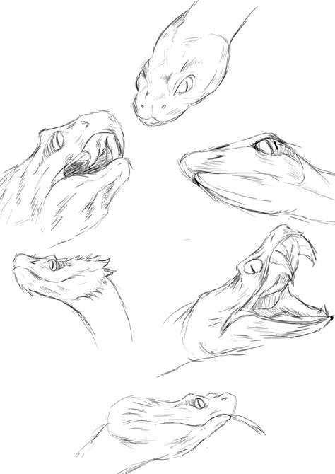 Snake Head Sketch, Snake Sketches, Snake Head Drawing, Snake Drawings, Sketch Mouth, Drawing Snake, Snake Outline, Snake Sketch, Kinds Of Snakes