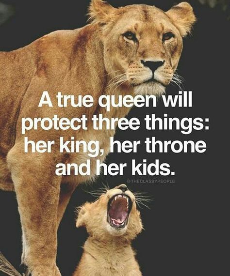 ES LO QUE HACE: ME PROTEGE TODO EL TIEMPO, TAMBIÉN A NUESTROS BEBÉS Y, POR SUPUESTO NUNCA PIERDE DE VISTA EL TRONO. Lioness Quotes, Scriptures About Strength, Leo Quotes, Her King, Lion Quotes, King Quotes, Cersei Lannister, Warrior Quotes, Word Up