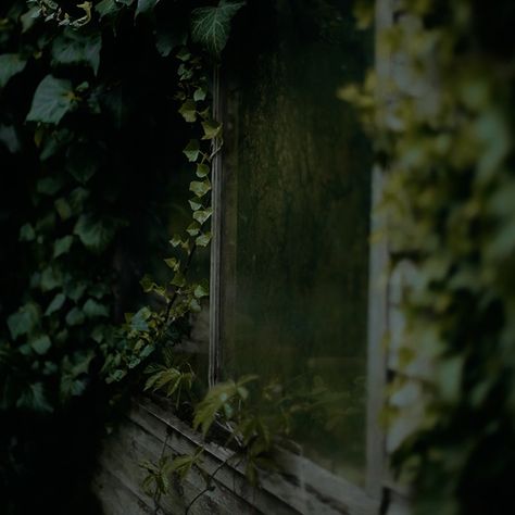 Moss Green Aesthetic, Grunge Witch Aesthetic, Moss Aesthetic, Green Witch Aesthetic, Grunge Witch, Dark Naturalism, Dark Fairycore, Dark Green Aesthetic, Dark Cottagecore