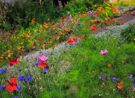 Flower Aesthetic White, Garden Ideas Cottage, Best Flowers For Shade, Garden Design Outdoor, Tools Tattoo, Aesthetic Gardening, Gardener Aesthetic, Garden Aesthetics, Wallpaper Garden