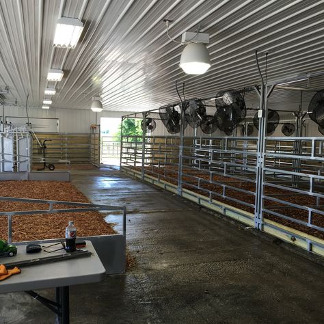 Cattle Farm Design, Beef Cattle Barn Design, Show Barn Ideas Cattle, Show Cattle Barn Layout, Cattle Barn Designs, Show Cattle Barn, Cattle Facility, Cow Barn, Livestock Barn