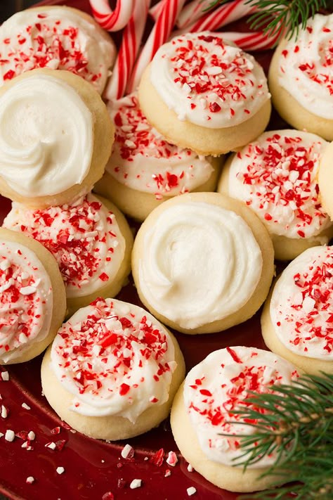 Peppermint Meltaway Cookies - Cooking Classy Meltaway Cookies, Peppermint Recipes, Eggnog Cookies, Peppermint Sugar Cookies, Peppermint Chocolate, Best Christmas Cookie Recipe, Christmas Cookie Recipes, Peppermint Sugar, Peppermint Cookies