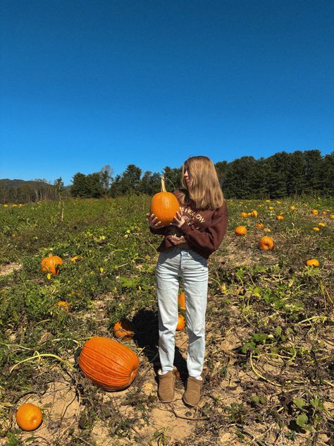 Autumn Breeze, Pumpkin Patch