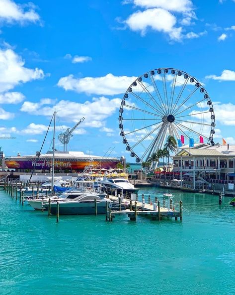 Happy Halloween from Miami What will you be for Halloween?! @miamituristico #miamihalloween #baysidemiami #baysidemarketplace #downtownmiami #miami #halloweekend #miamivibes Bayside Miami, Miami Shopping, Muscle Beach, Miami Life, Life Vision Board, Downtown Miami, Magic City, October 31, Miami Heat